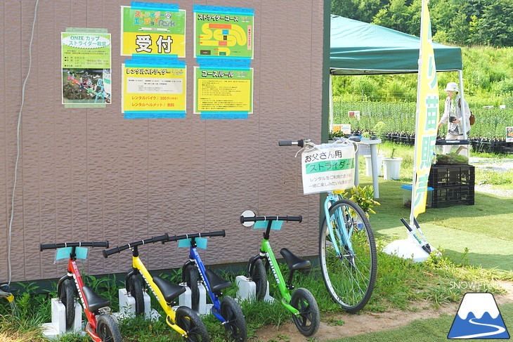 北海道最大級、213万輪のゆりの花！『オーンズ春香山ゆり園』